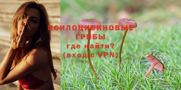 гашик Саяногорск