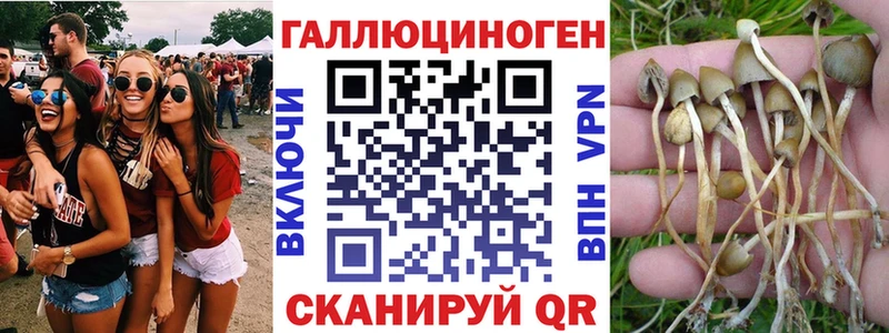 Купить где  Гай  Галлюциногенные грибы мицелий 